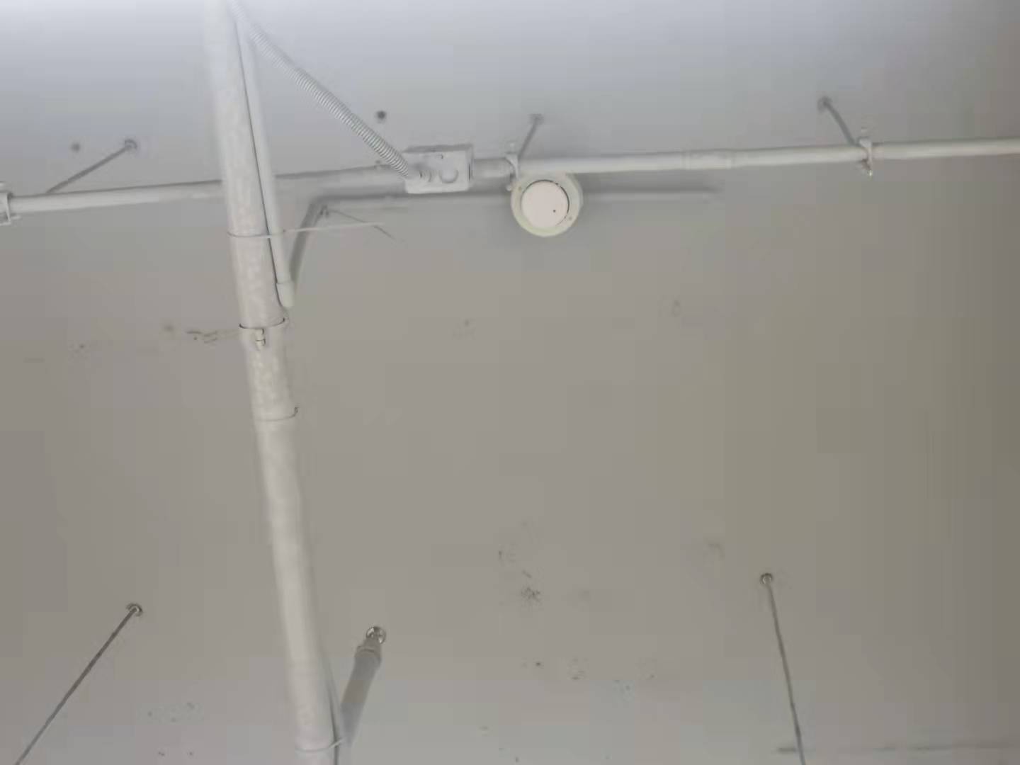 1631517596648193.jpg e8909cfe4e2de32bbdbf46627b3926b.jpg