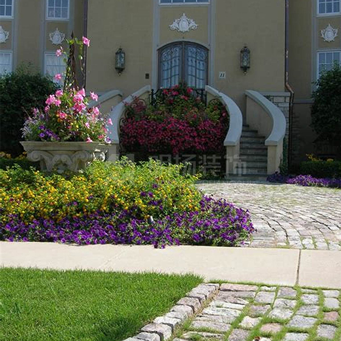 1634540282767822.jpg 3.jpg